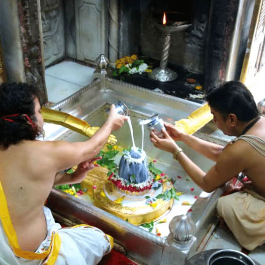 Rudrabhishekam Aastha Yatra